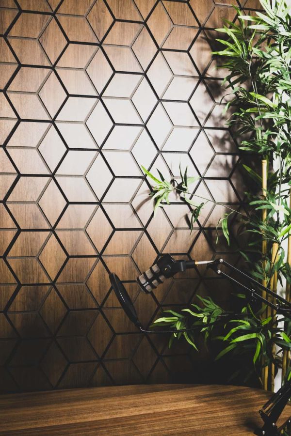 Hexagon Acoustic Wood Wall Panel ( Walnut )