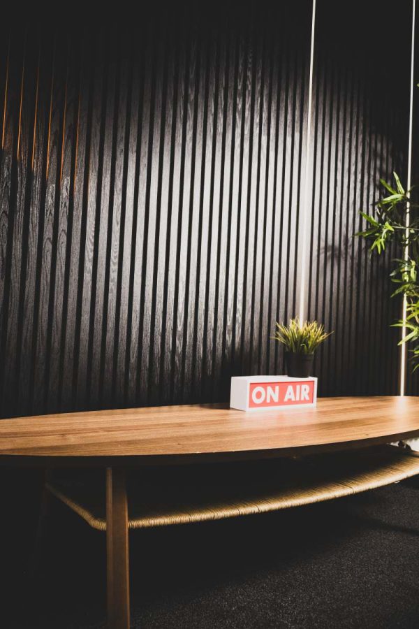 Acoustic Wood Wall Panel ( Black ) - Image 3