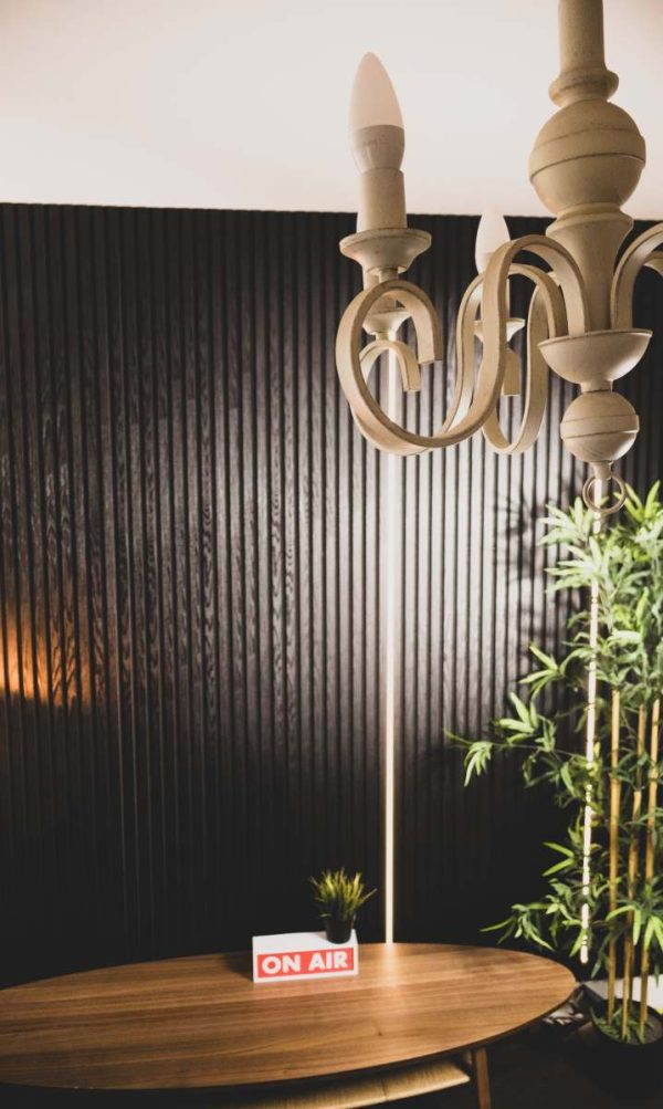 Acoustic Wood Wall Panel ( Black ) - Image 4
