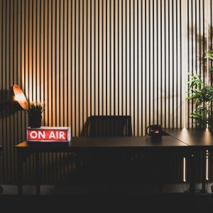 Acoustic Wood Wall Panel (Natural Oak)