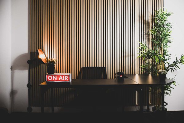 Acoustic Wood Wall Panel (Natural Oak)